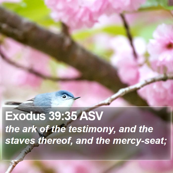 Exodus 39:35 ASV Bible Study