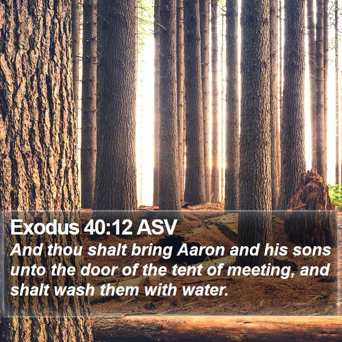 Exodus 40:12 ASV Bible Study