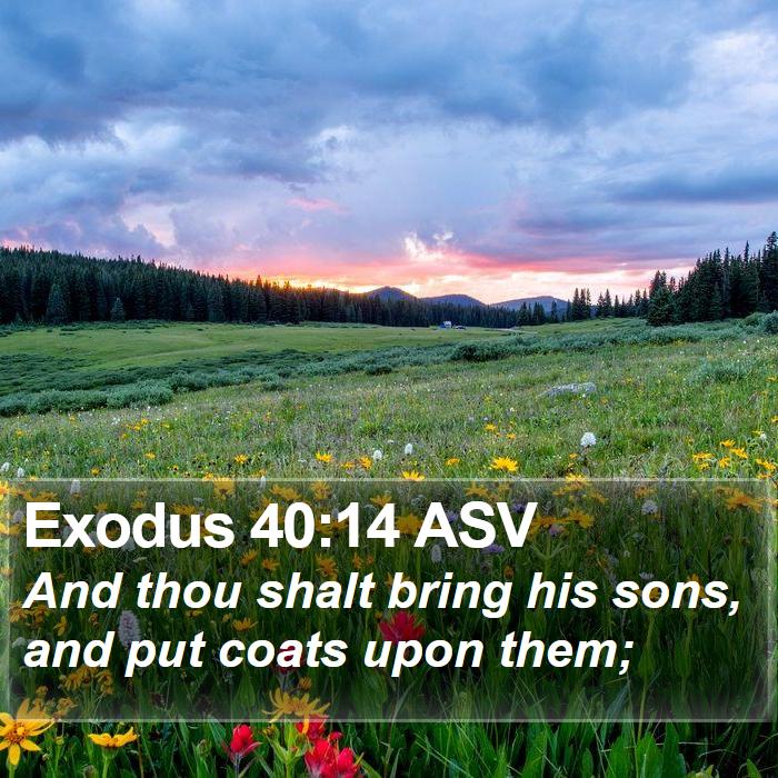 Exodus 40:14 ASV Bible Study