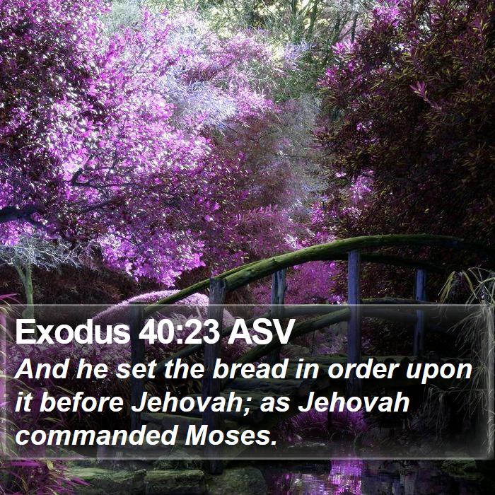 Exodus 40:23 ASV Bible Study