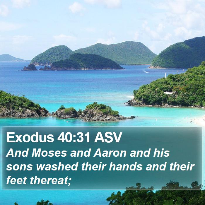 Exodus 40:31 ASV Bible Study