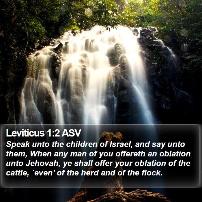 Leviticus 1:2 ASV Bible Study