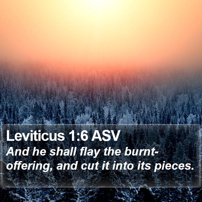 Leviticus 1:6 ASV Bible Study