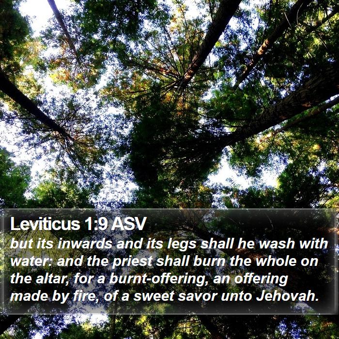 Leviticus 1:9 ASV Bible Study