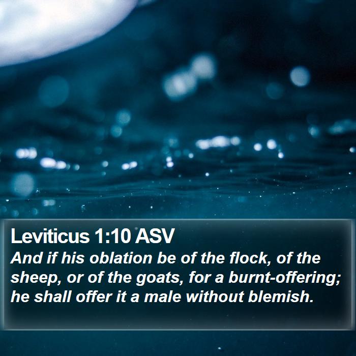 Leviticus 1:10 ASV Bible Study