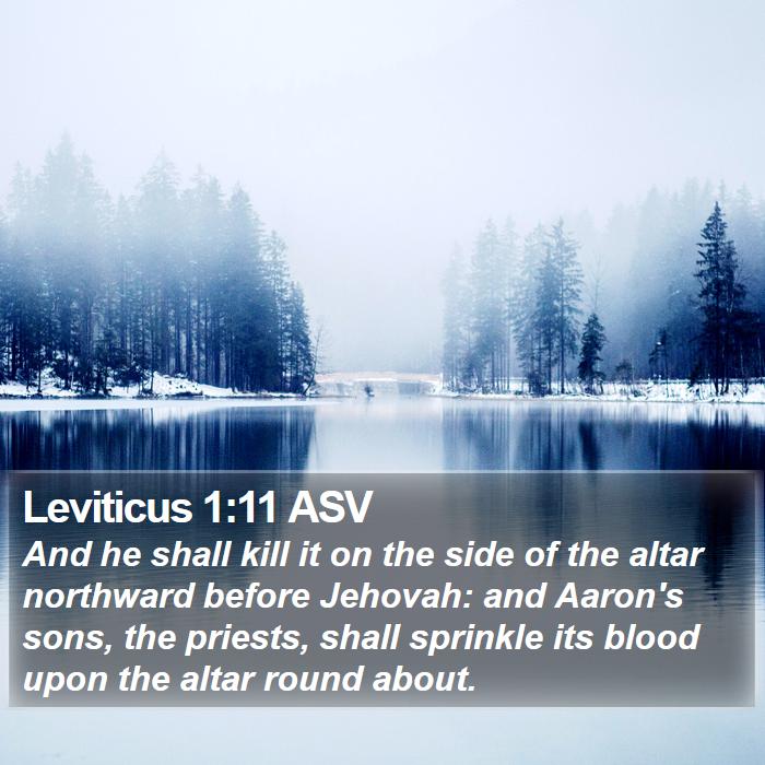 Leviticus 1:11 ASV Bible Study