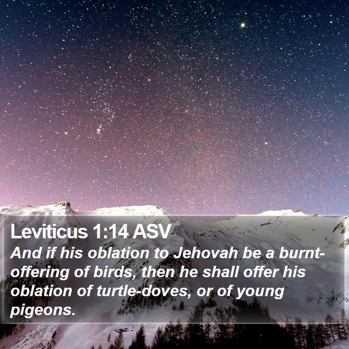 Leviticus 1:14 ASV Bible Study