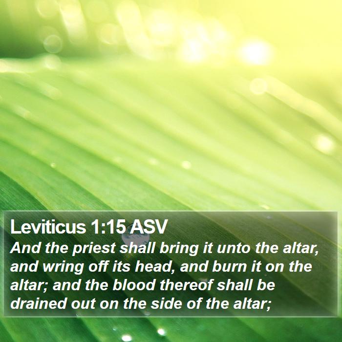 Leviticus 1:15 ASV Bible Study