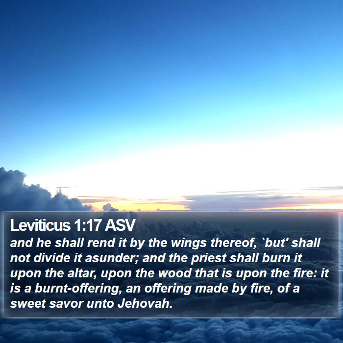 Leviticus 1:17 ASV Bible Study