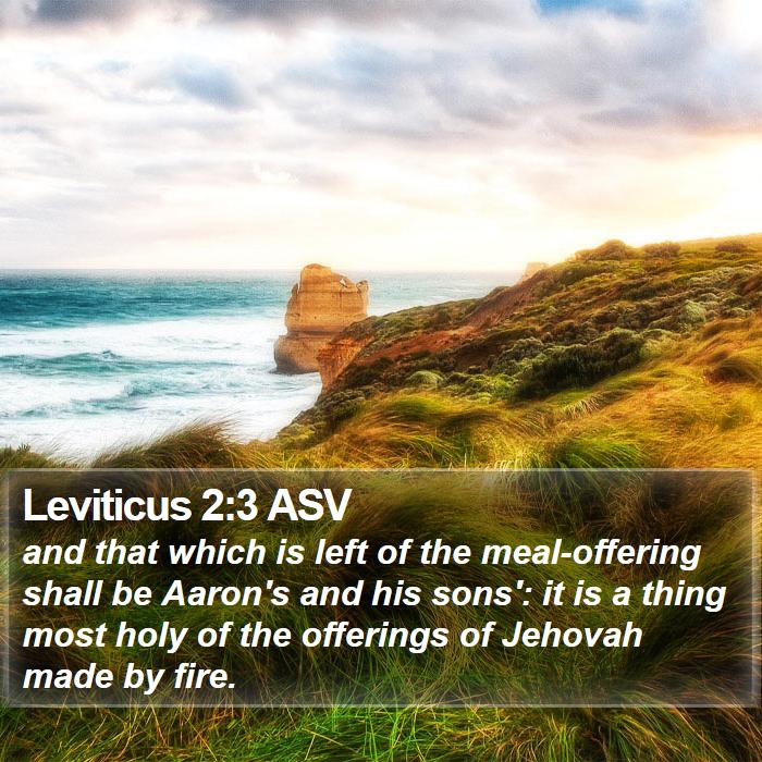 Leviticus 2:3 ASV Bible Study