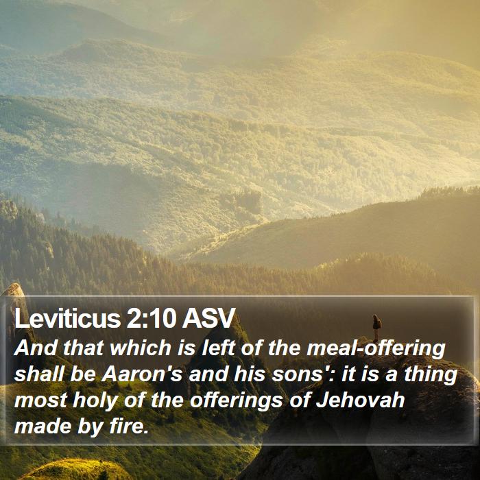 Leviticus 2:10 ASV Bible Study