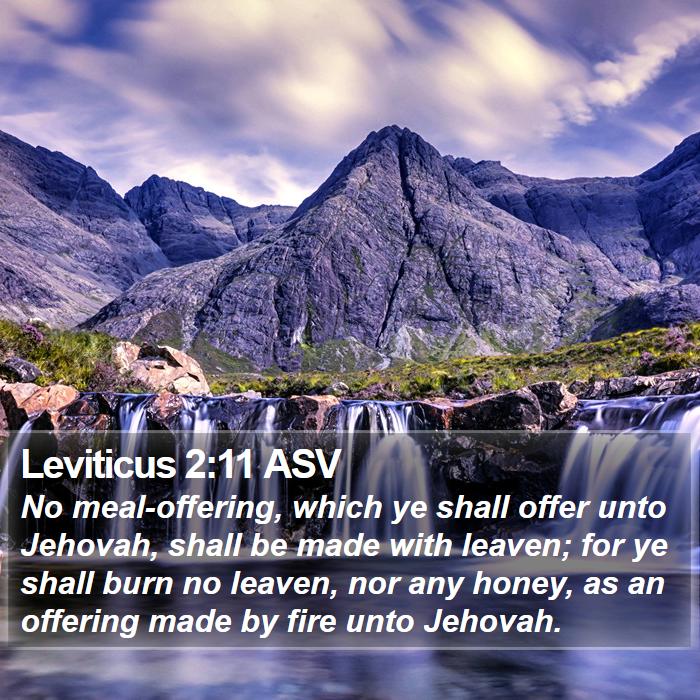 Leviticus 2:11 ASV Bible Study