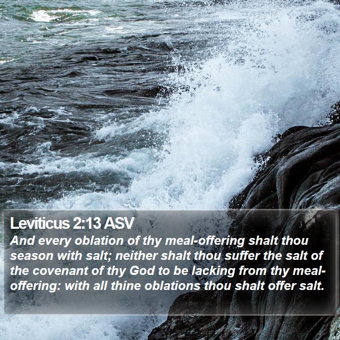 Leviticus 2:13 ASV Bible Study