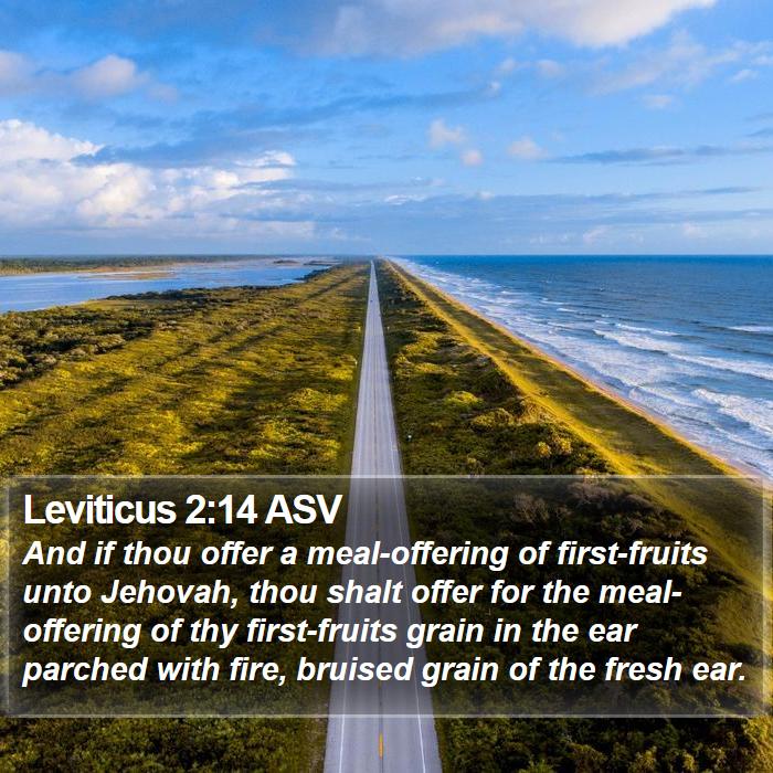 Leviticus 2:14 ASV Bible Study