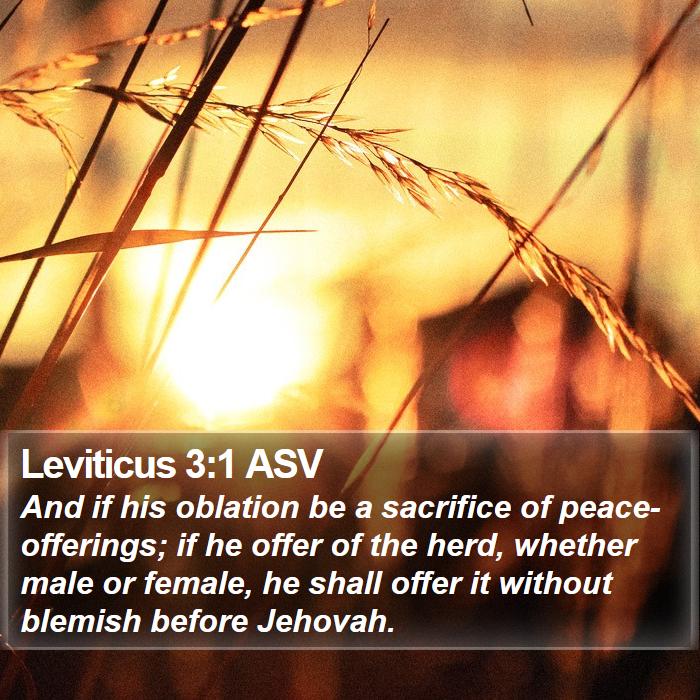 Leviticus 3:1 ASV Bible Study