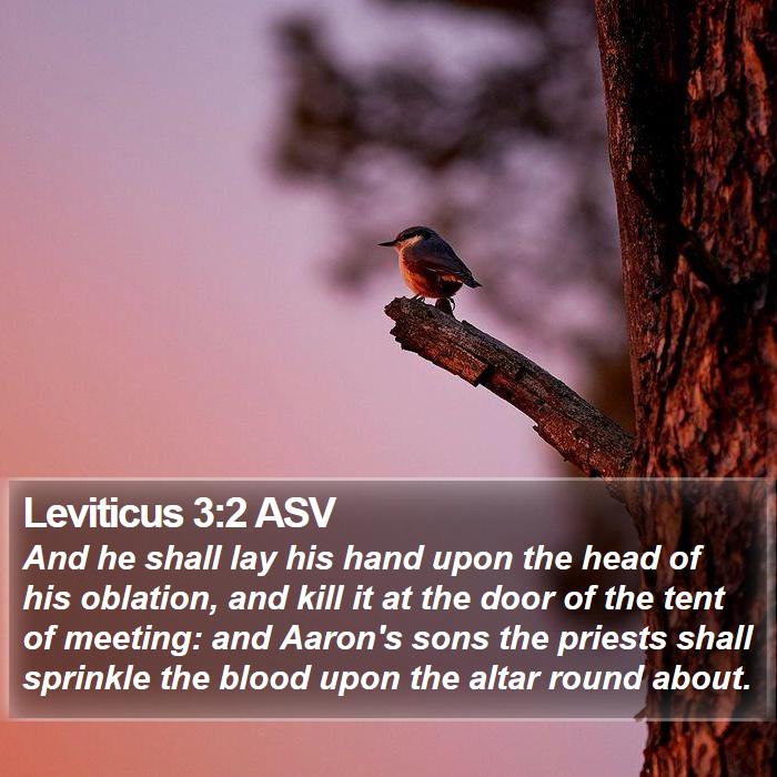 Leviticus 3:2 ASV Bible Study