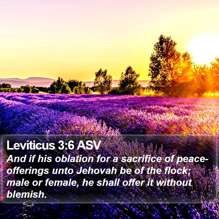 Leviticus 3:6 ASV Bible Study