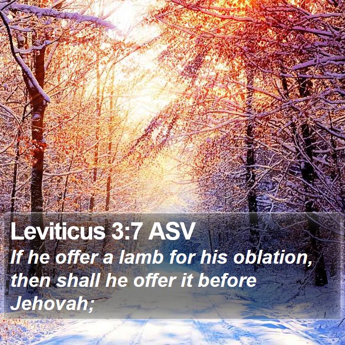 Leviticus 3:7 ASV Bible Study