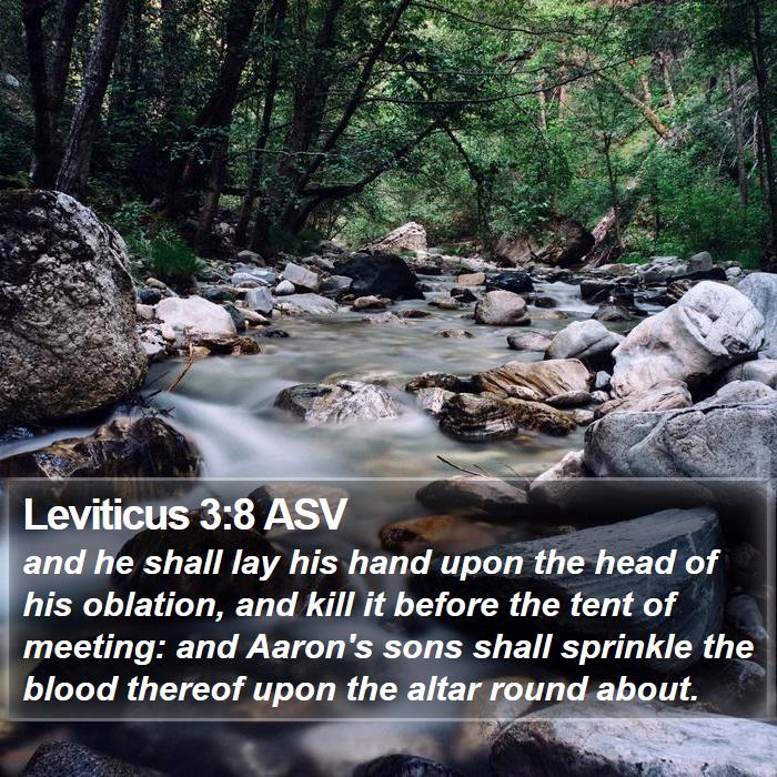 Leviticus 3:8 ASV Bible Study