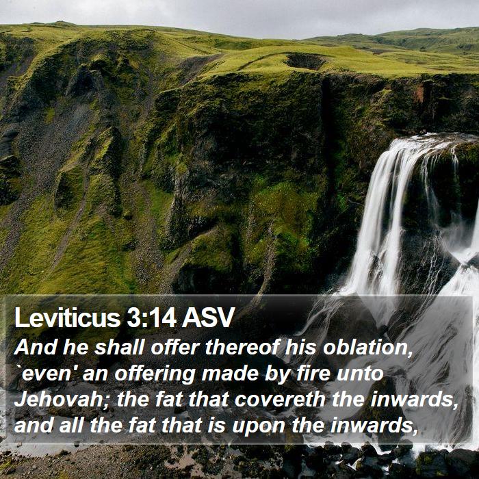 Leviticus 3:14 ASV Bible Study