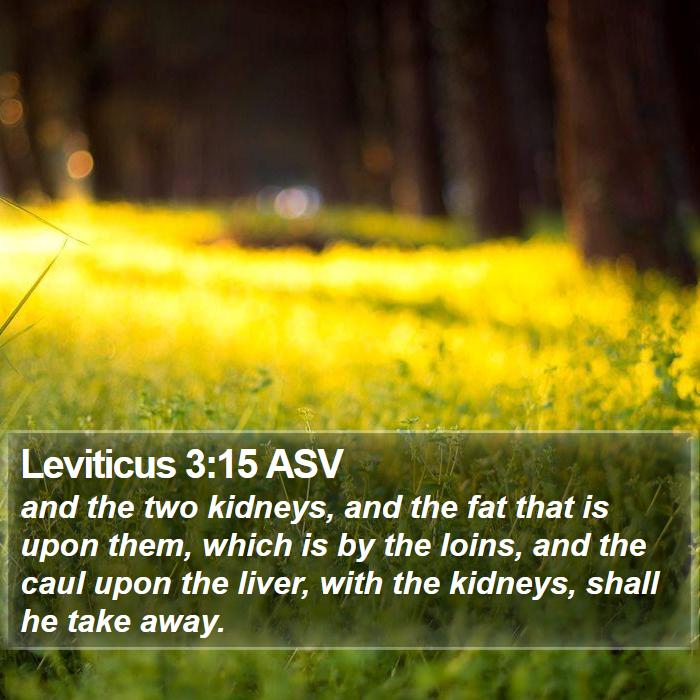 Leviticus 3:15 ASV Bible Study