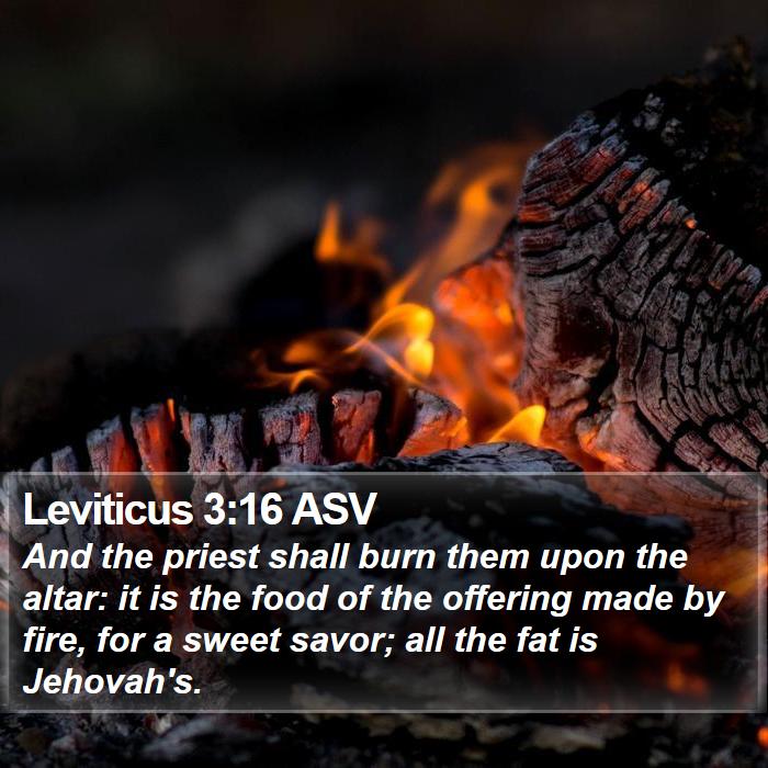 Leviticus 3:16 ASV Bible Study