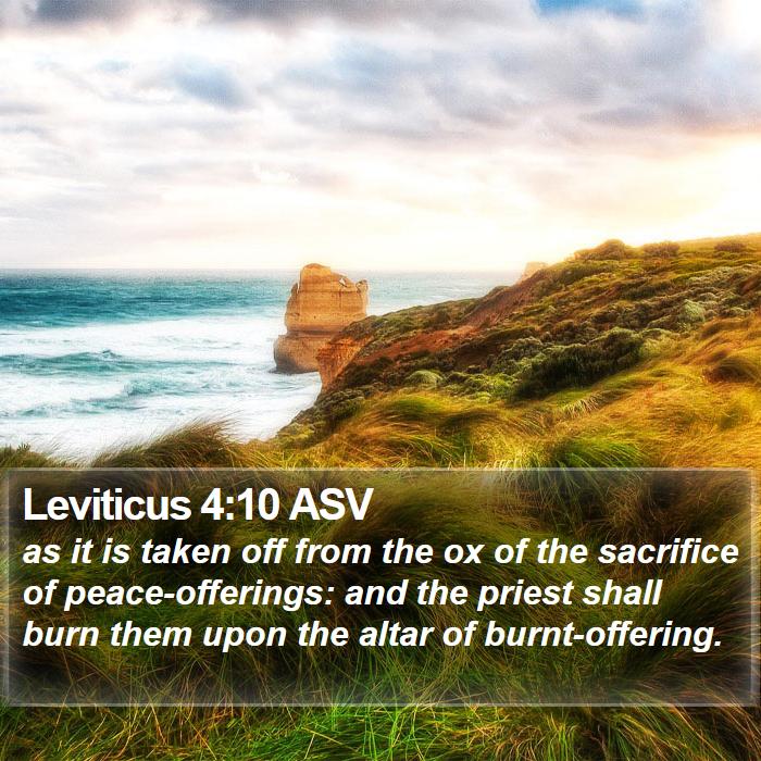 Leviticus 4:10 ASV Bible Study