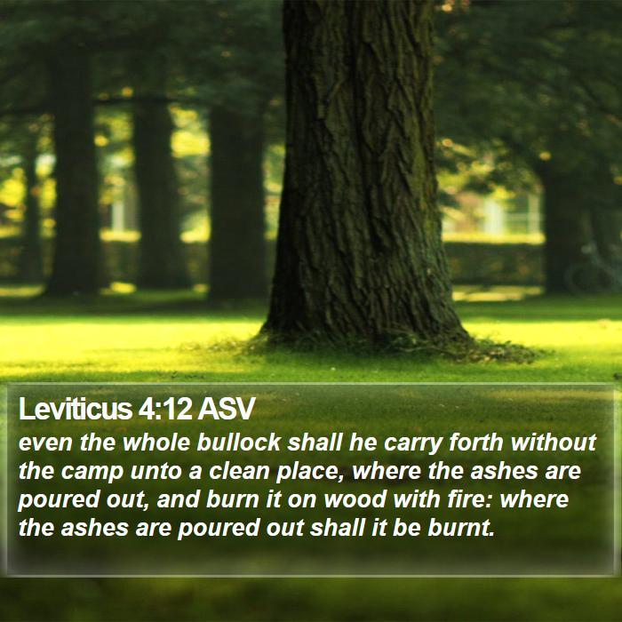 Leviticus 4:12 ASV Bible Study