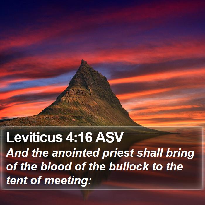 Leviticus 4:16 ASV Bible Study