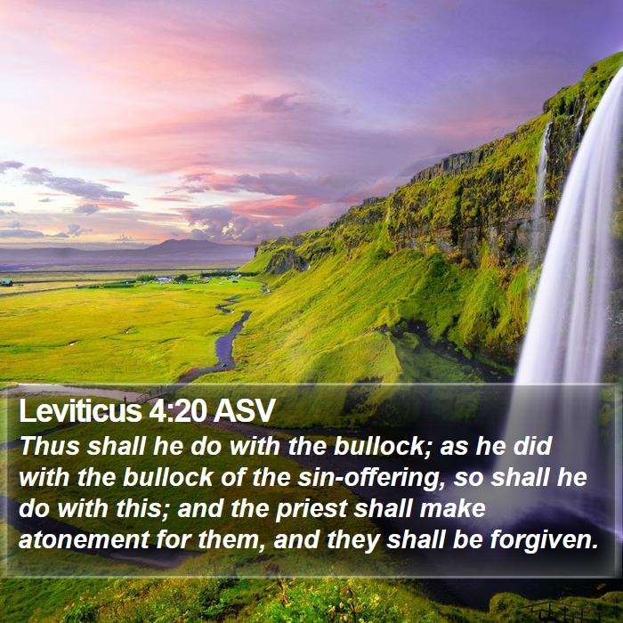 Leviticus 4:20 ASV Bible Study