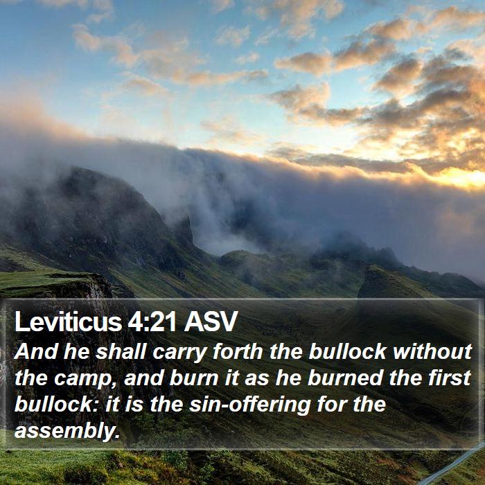 Leviticus 4:21 ASV Bible Study