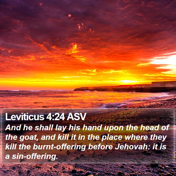 Leviticus 4:24 ASV Bible Study