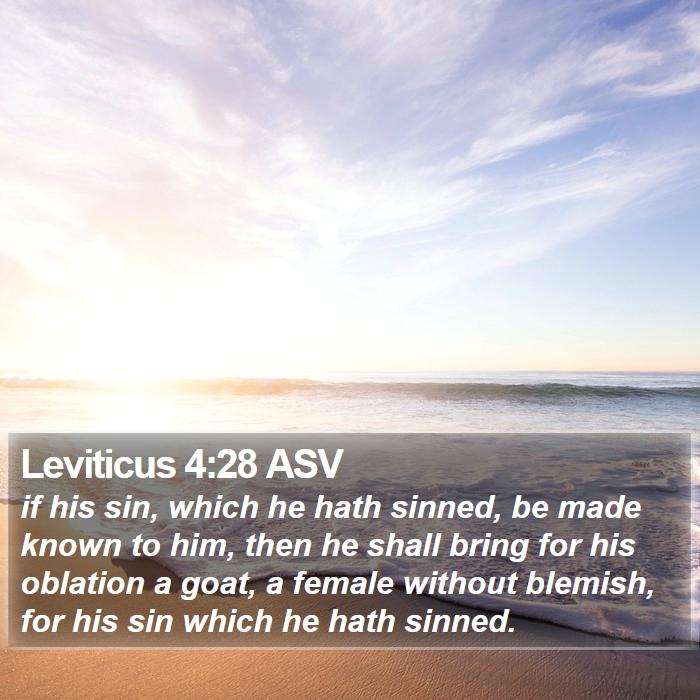 Leviticus 4:28 ASV Bible Study