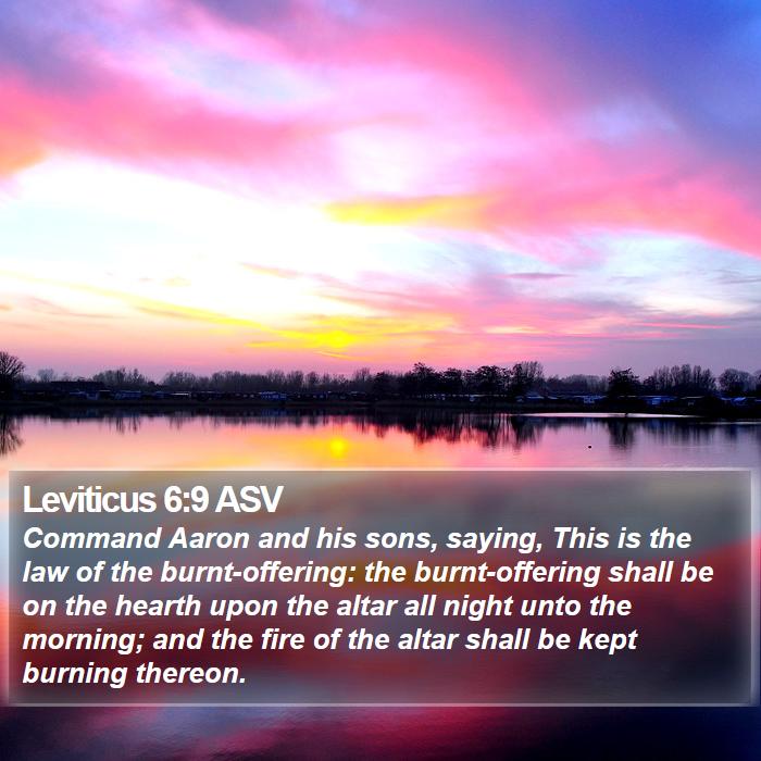 Leviticus 6:9 ASV Bible Study