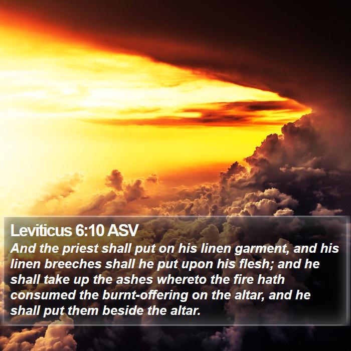 Leviticus 6:10 ASV Bible Study