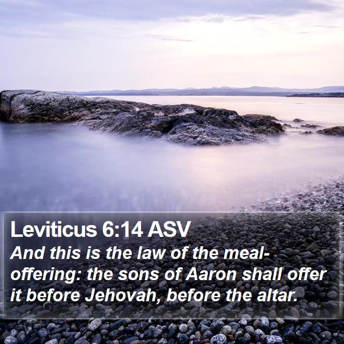 Leviticus 6:14 ASV Bible Study