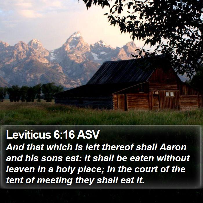 Leviticus 6:16 ASV Bible Study