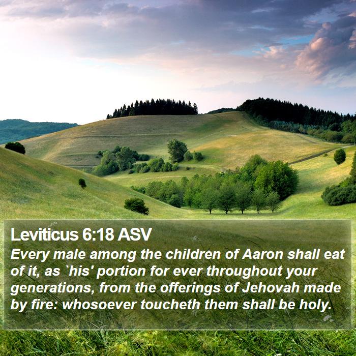 Leviticus 6:18 ASV Bible Study