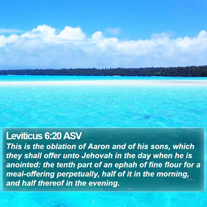 Leviticus 6:20 ASV Bible Study