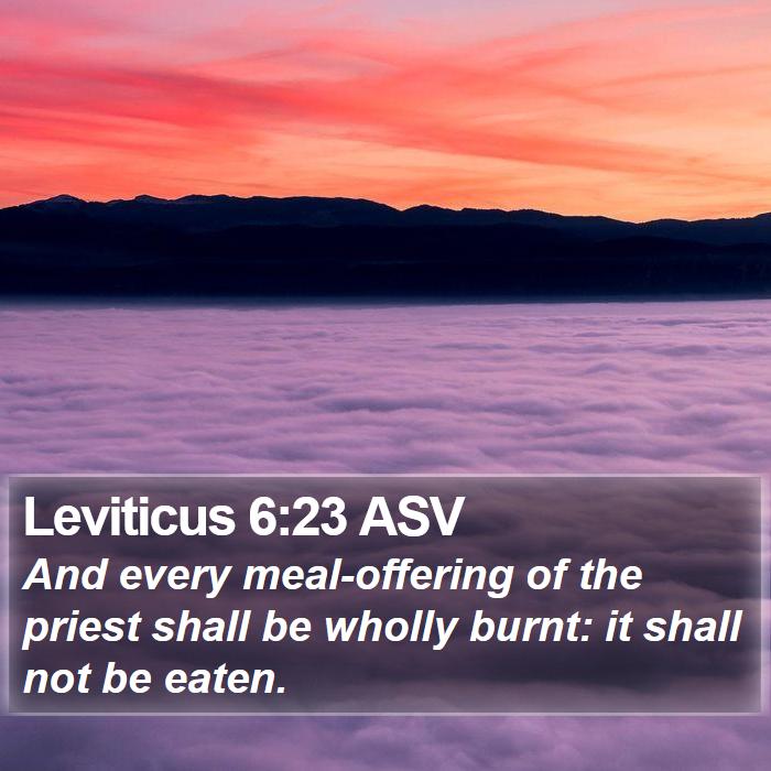 Leviticus 6:23 ASV Bible Study