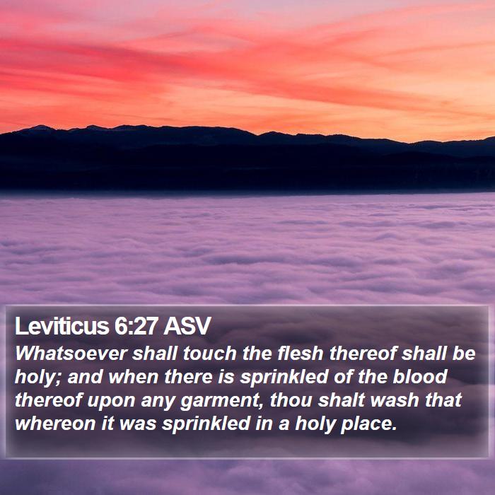 Leviticus 6:27 ASV Bible Study