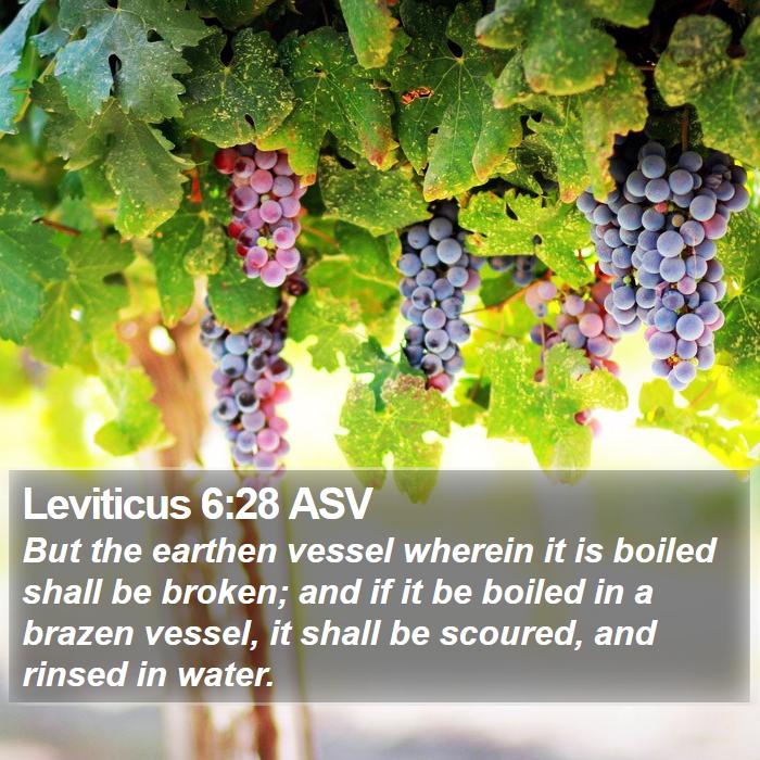 Leviticus 6:28 ASV Bible Study