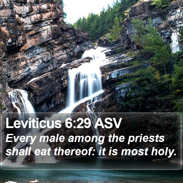 Leviticus 6:29 ASV Bible Study