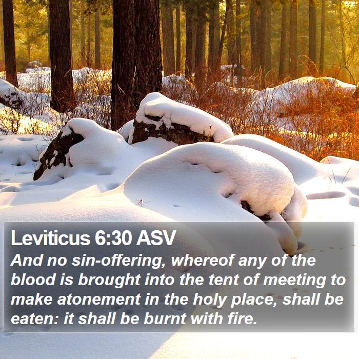 Leviticus 6:30 ASV Bible Study