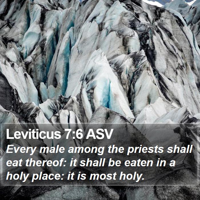 Leviticus 7:6 ASV Bible Study