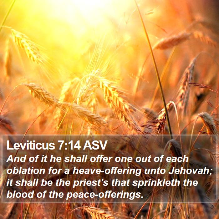 Leviticus 7:14 ASV Bible Study