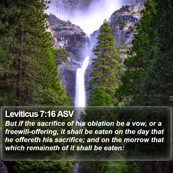 Leviticus 7:16 ASV Bible Study