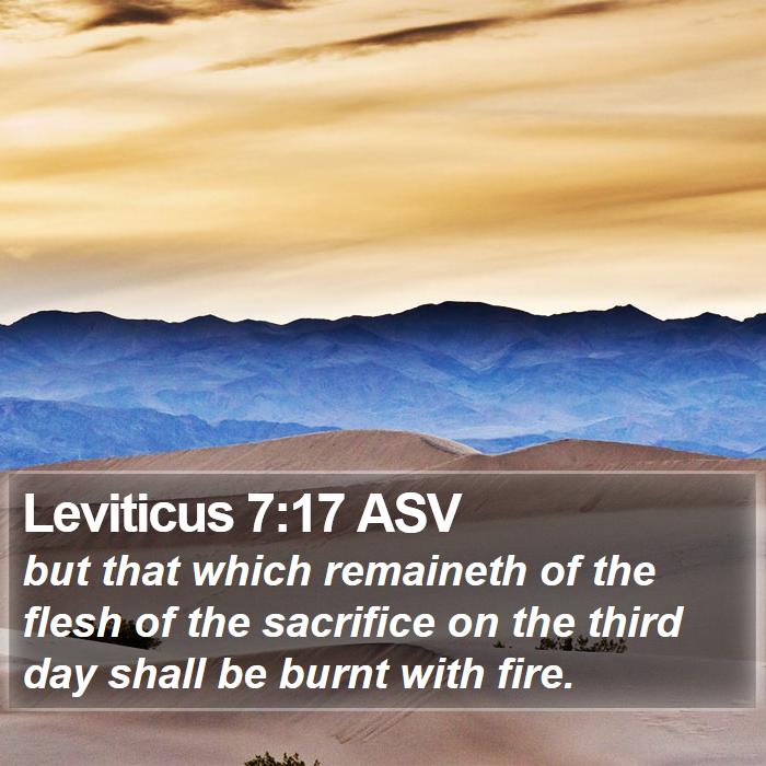 Leviticus 7:17 ASV Bible Study