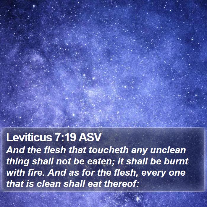 Leviticus 7:19 ASV Bible Study