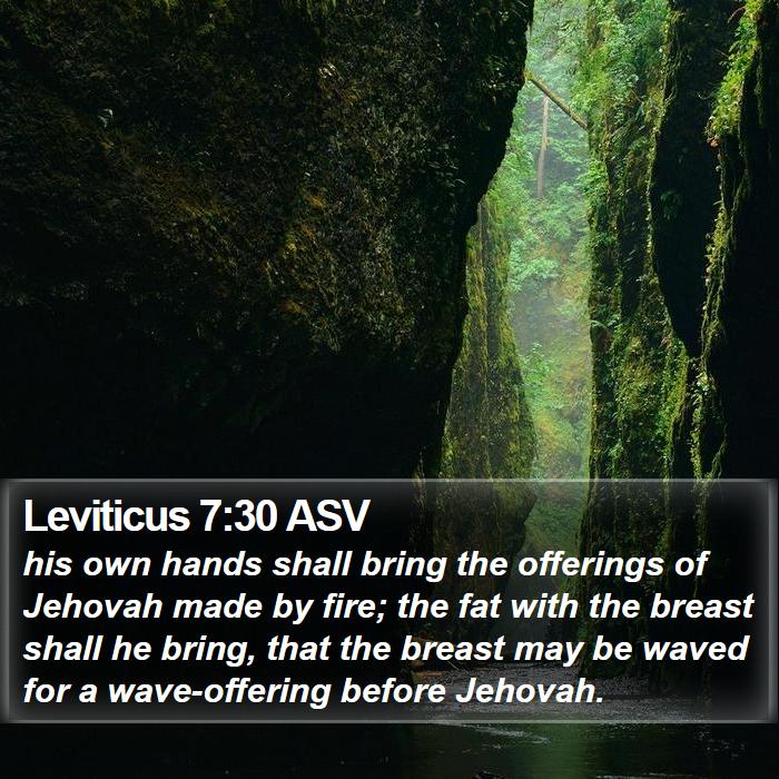 Leviticus 7:30 ASV Bible Study